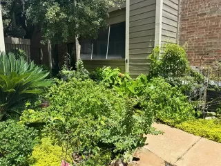 Photo #3: 21000597 Listing 