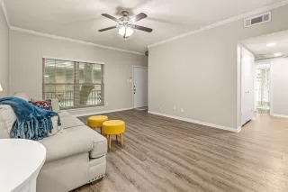 Photo #6: 21293529 Listing 