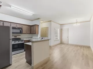 Photo #5: 21315477 Listing 